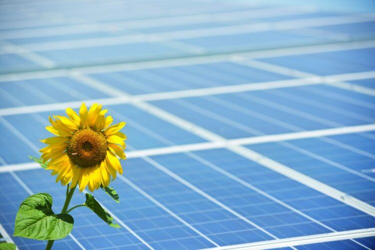 sončnični in sončni kolektorji za varčevanje z energijo